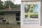 Το σημάδι αυτής της οικογένειας εξηγεί γιατί το σκυλί τους αγαπά να καθίσει στην οροφή