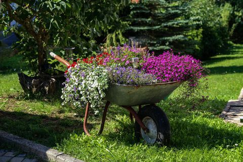 Καροτσάκι με όμορφα λουλούδια στέκεται στον κήπο