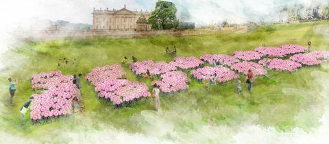 Έκθεση λουλουδιών Chatsworth 2019