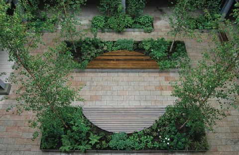 Εταιρεία βραβείων σχεδιαστών κήπων - Anne Windsor - νικητής των μεγάλων ιδεών, βραβείο προϋπολογισμού Smal - Βραβεία SGD 2017