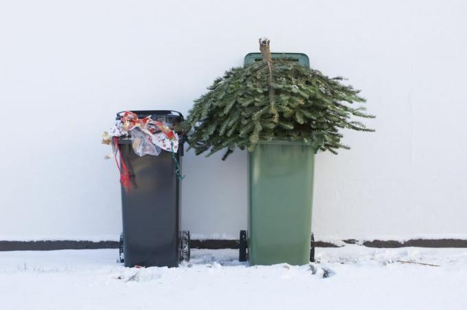 ανακυκλώστε το χριστουγεννιάτικο δέντρο σας