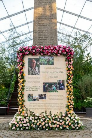 Το μνημείο του Ντέιβιντ Όστιν Τριαντάφυλλα, το λουλούδι του Τσέλσι 2019