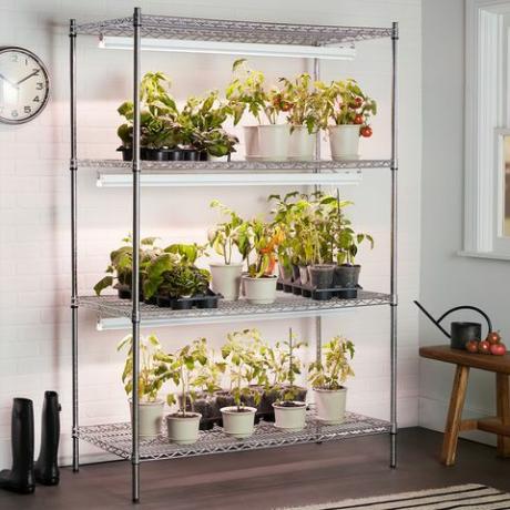 Η GE Lighting αναπτύσσει ελαφρά φυτά κήπου εσωτερικού χώρου