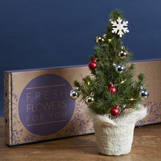 Το χριστουγεννιάτικο δέντρο Letterbox