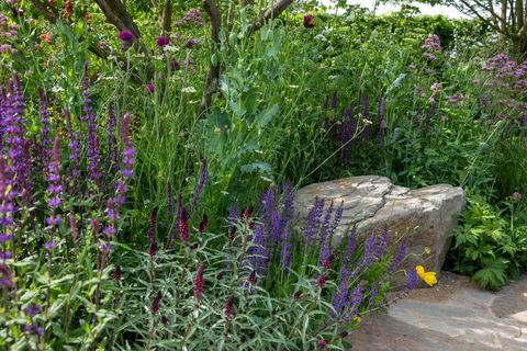 το place2be που εξασφαλίζει τον αυριανό κήπο σχεδιασμένο από τον Jamie Butterworth rhs chelsea flower show 2022
