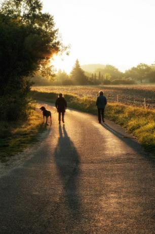 δύο γυναίκες που περπατούν ένα σκύλο στην ανατολή του ηλίου