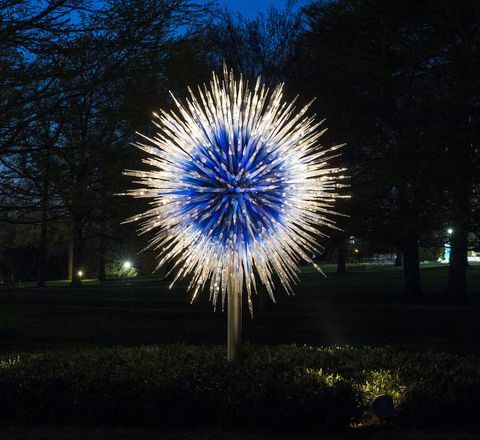 Dale Chihuly Sapphire Star φωτογραφία