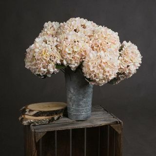 Φθινοπωρινό Λευκό Λουλούδι Ορτανσίας (Σετ 3)