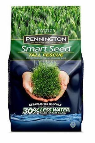 Cool Season Grass Seed