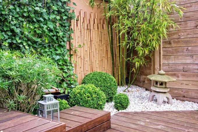 Ιαπωνικός κήπος με μπαμπού και πέτρινο φανάρι